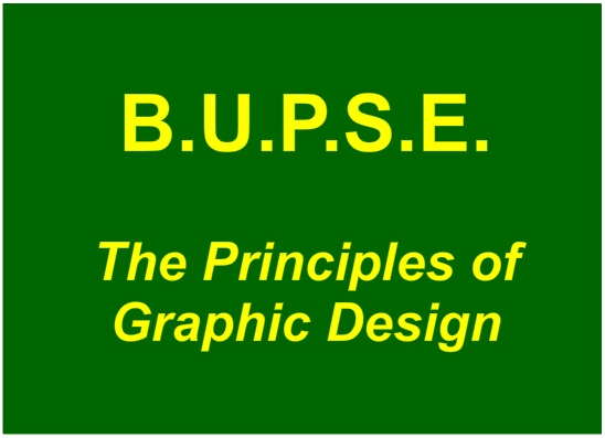 BUPSE Game Image