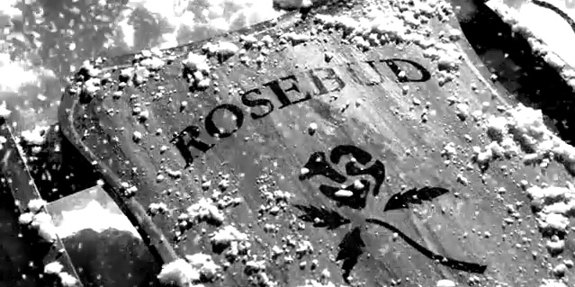 Picture of Rosebud Sled from Citizen Kane